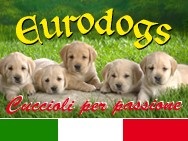 Eurodogs